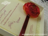 krem crvena ekskluzivna pozivnica za vjenčanje u kutiji s ružom