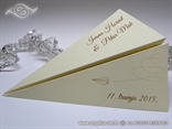 cool airplane wedding invitation